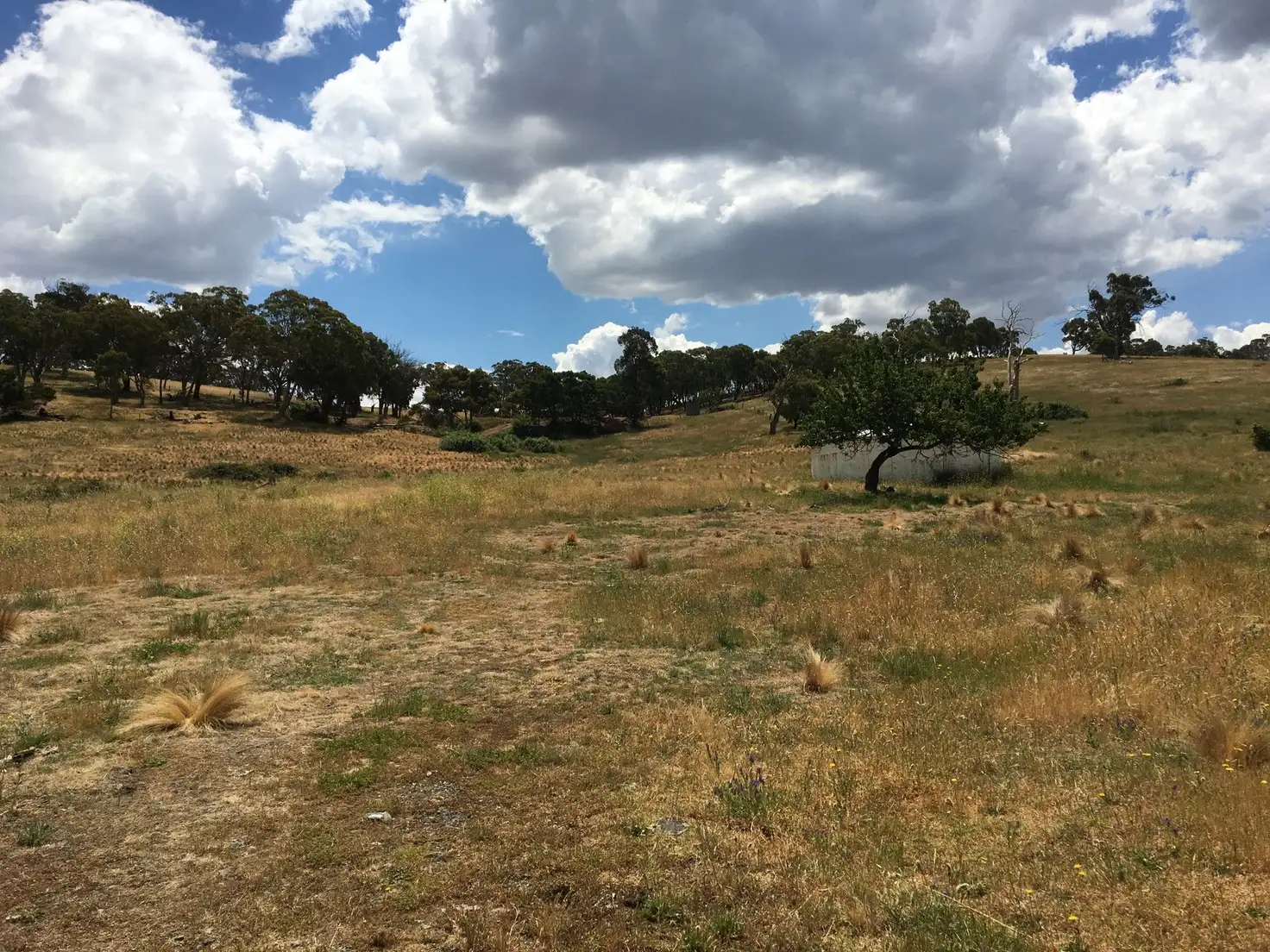 Main view of Homely land listing, 42 Loloma Place, Goulburn NSW 2580