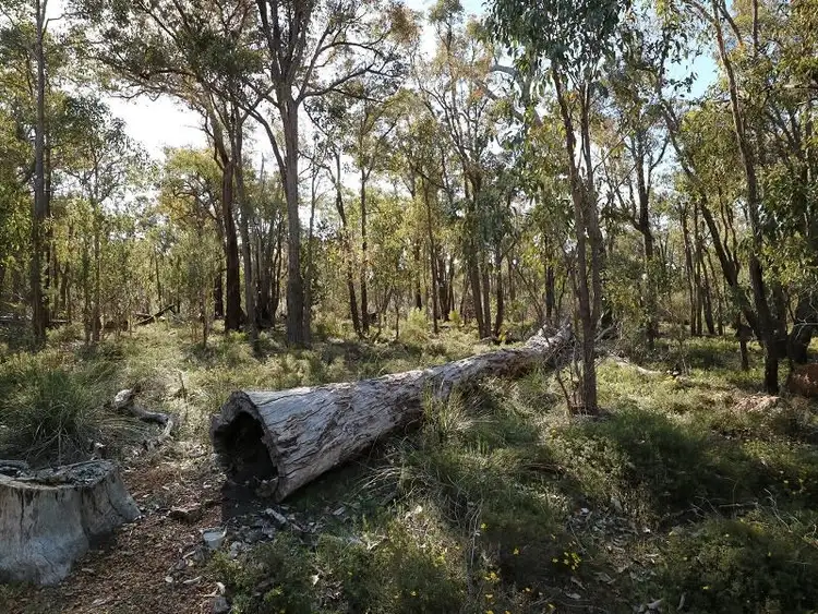 Sixth view of Homely land listing, 8 Berry Road, Gidgegannup WA 6083