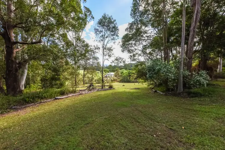Second view of Homely house listing, 16 Misty Court, Yandina QLD 4561