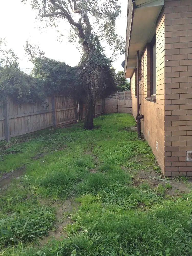 Seventh view of Homely house listing, 99 Fairy Street, Bell Post Hill VIC 3215