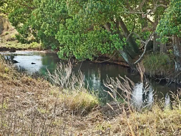 Fifth view of Homely rural property listing, 302 Lindendale Road, Lindendale NSW 2480