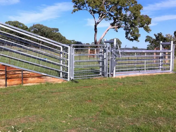 Fifth view of Homely rural property listing, 5027 Kings Plains, Wellingrove NSW 2370