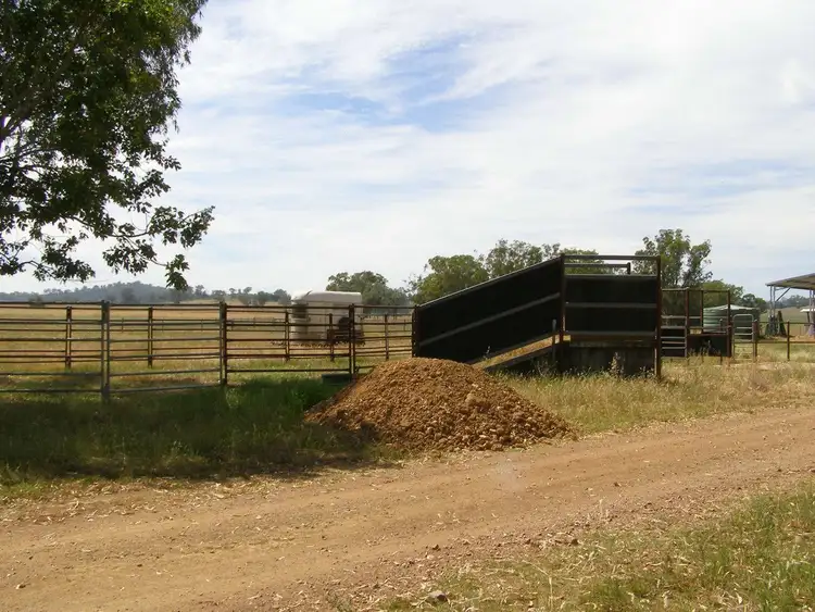 Seventh view of Homely rural property listing, 1314 Whitlow Road, Bingara NSW 2404