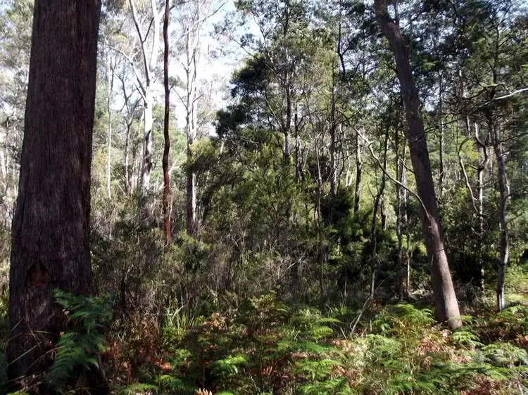 Sixth view of Homely land listing, Lot 1 Terryvale Road, Goshen TAS 7216
