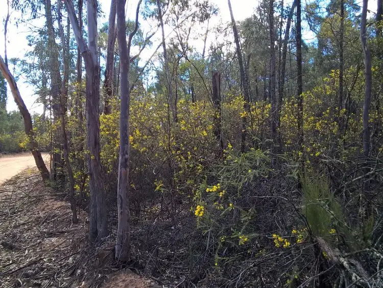 Fifth view of Homely land listing, Lot 3 Melrose Estate, Warialda NSW 2402