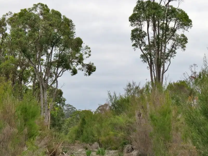 Main view of Homely land listing, 3 Gumnut Rd, Northcliffe WA 6262