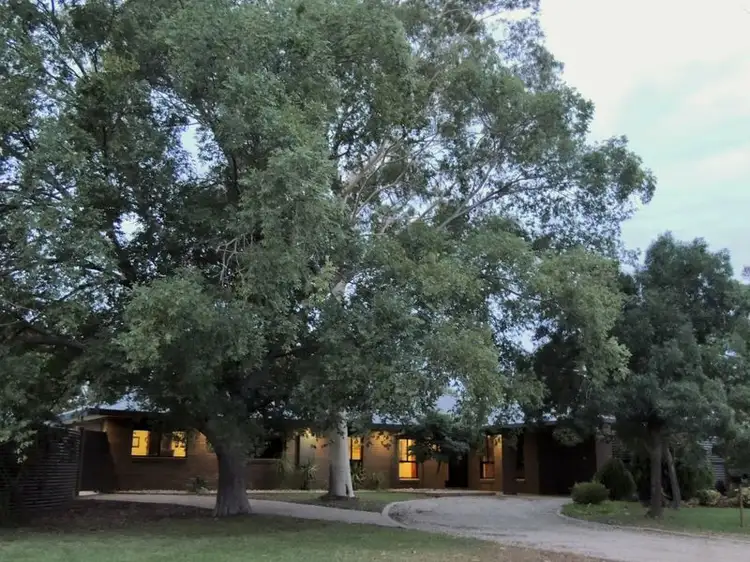 Main view of Homely house listing, 177 Gray Street, Swan Hill VIC 3585