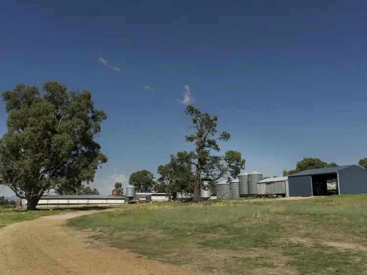 Second view of Homely rural property listing, SPRINGVIEW Loch Lomond Road, Gooloogong NSW 2805