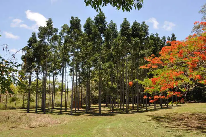 Fourth view of Homely house listing, 5 Lamberts Road, Sarina QLD 4737