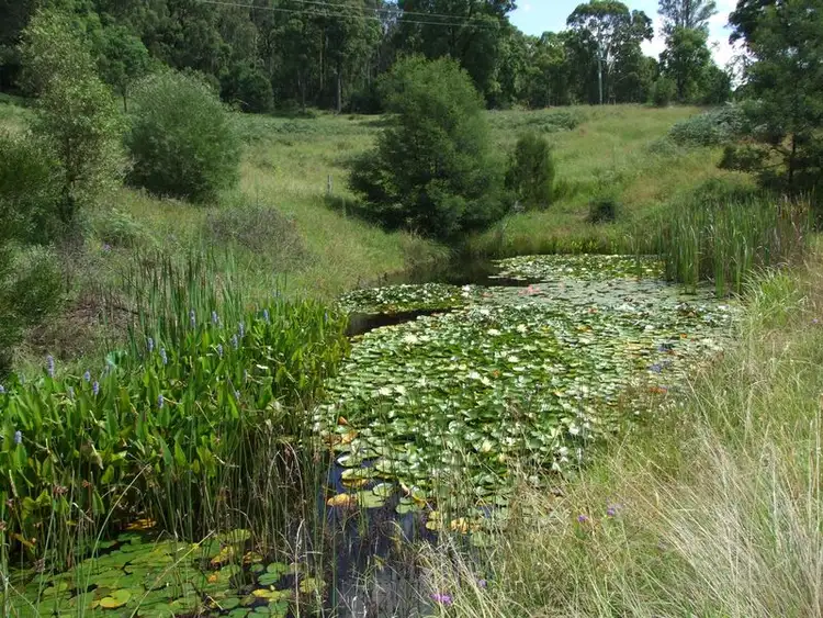 Seventh view of Homely rural property listing, Lot 2 Blanchards Road, Brogo NSW 2550