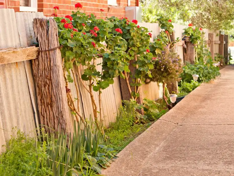 Sixth view of Homely house listing, 31 Wombat Street, Young NSW 2594