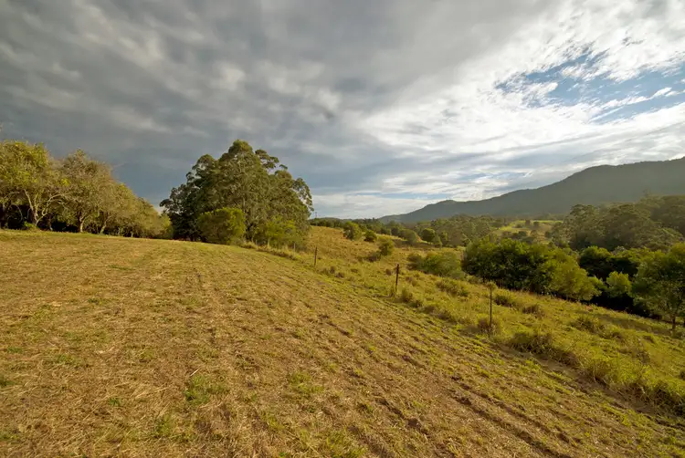 Main view of Homely land listing, 174 Mitchells Road, Valla NSW 2448
