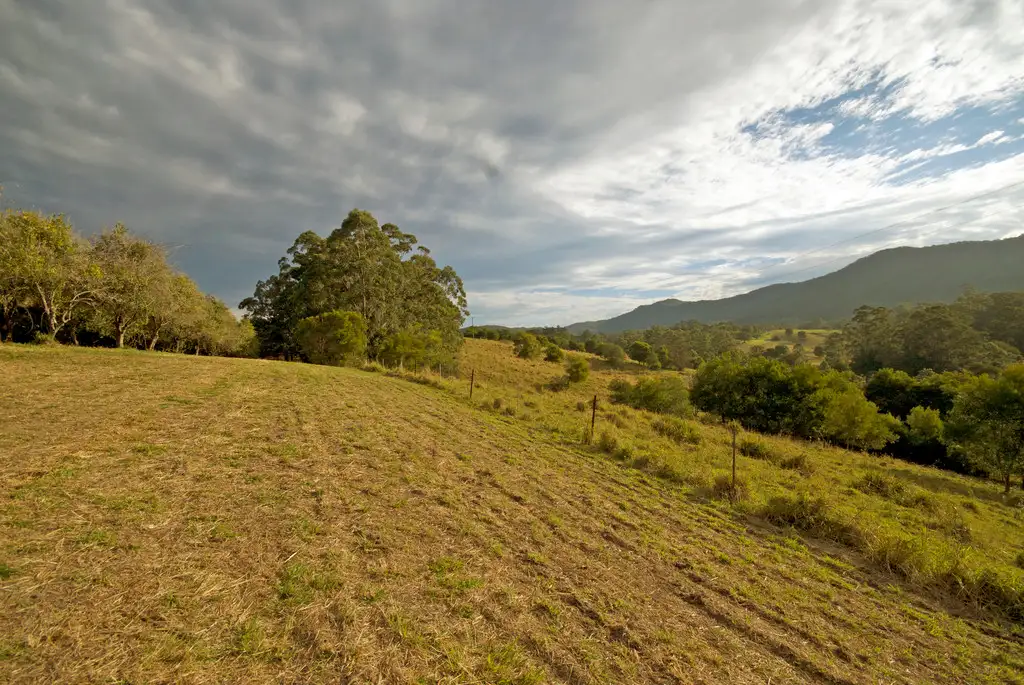 Main view of Homely land listing, 174 Mitchells Road, Valla NSW 2448