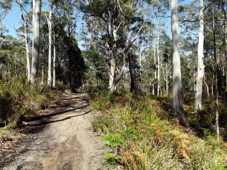 Fourth view of Homely land listing, Lot 1 Terryvale Road, Goshen TAS 7216