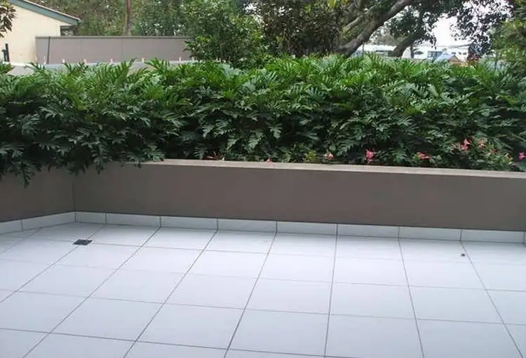 Fourth view of Homely unit listing, 4/161 Marine Parade, Southport QLD 4215