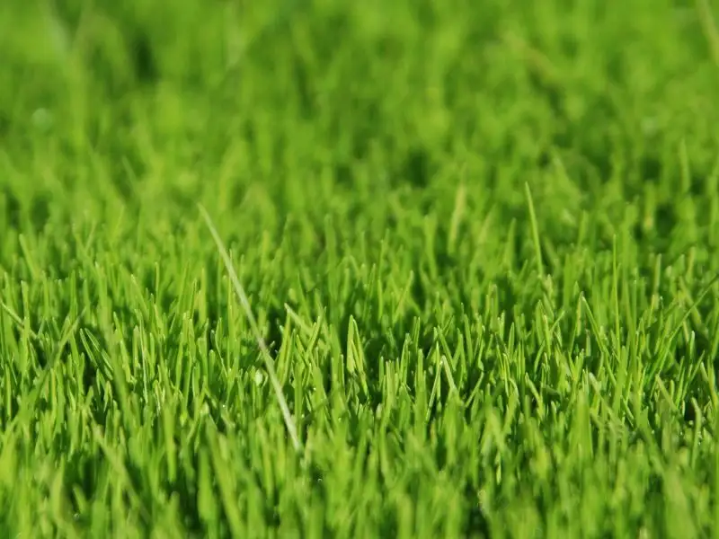 Main view of Homely land listing, 2/50 Champion Parade, Craigieburn VIC 3064