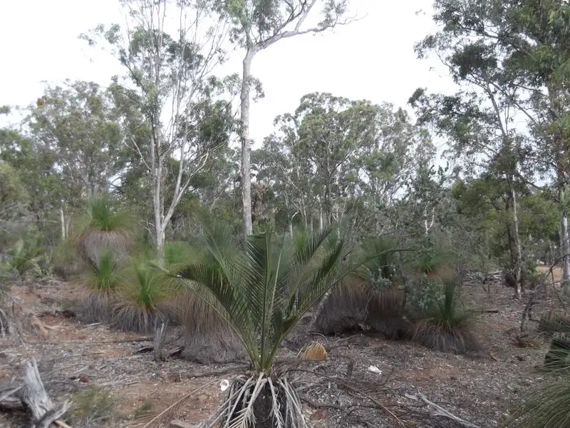 Main view of Homely land listing, 30 Laterite Way, Toodyay WA 6566