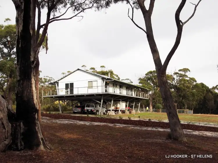 Fourth view of Homely house listing, 813 Reids Road, Binalong Bay TAS 7216