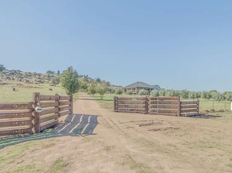 2415 Darby's Falls Road, Cowra NSW 2794