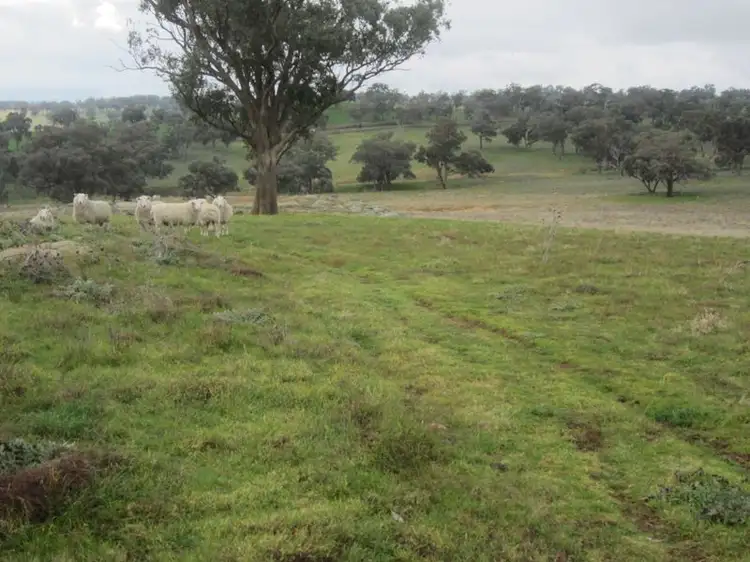 Fourth view of Homely rural property listing, 625 Tubbul Road, Young NSW 2594