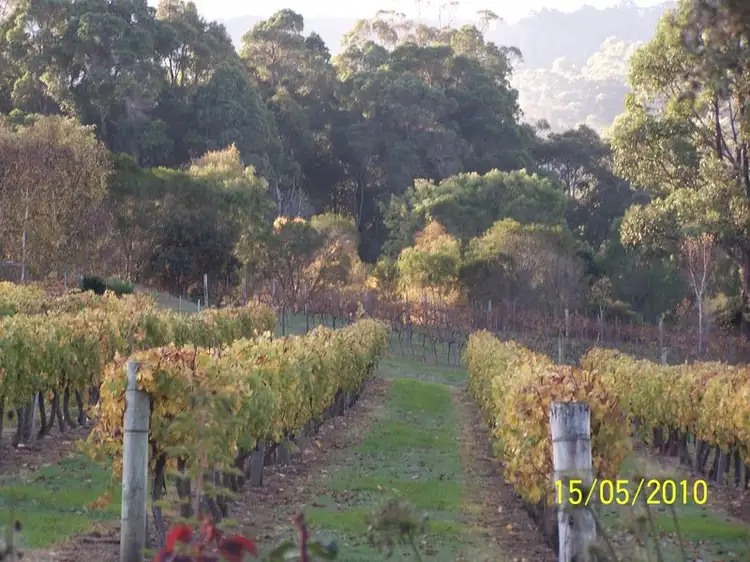 Third view of Homely land listing, 11891 Conte Road, Pemberton WA 6260