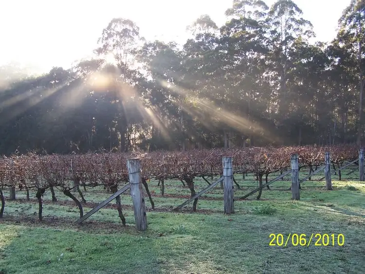 Sixth view of Homely land listing, 11891 Conte Road, Pemberton WA 6260