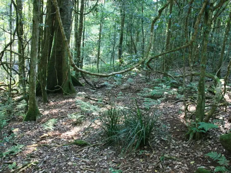 Fifth view of Homely rural property listing, Lot 73 Gambubal Road, Clintonvale QLD 4370