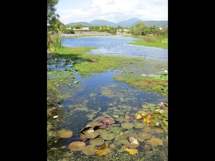 Sixth view of Homely land listing, 5 The Lake Estate/5 Old Port Road, Port Douglas QLD 4877
