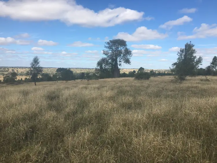 Main view of Homely rural property listing, 407 Lanreef Road, Roma QLD 4455