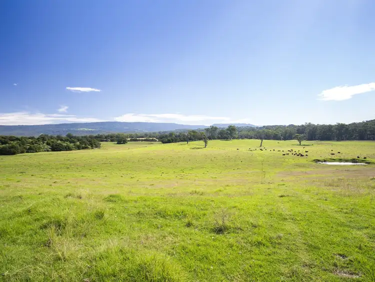 Seventh view of Homely rural property listing, 398 Croobyar Road, Milton NSW 2538