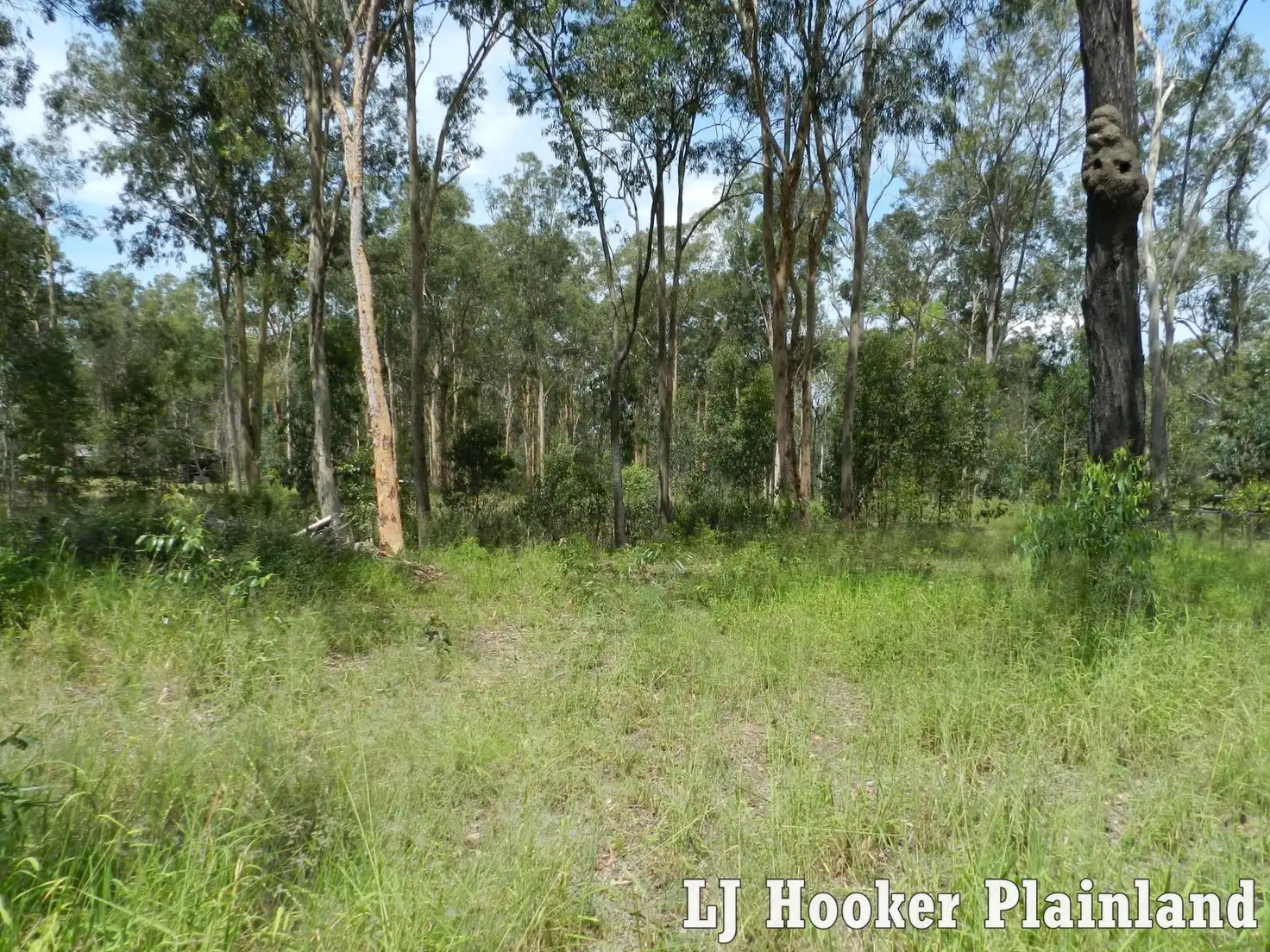 Main view of Homely land listing, 26 Sandpiper Dr, Regency Downs QLD 4341