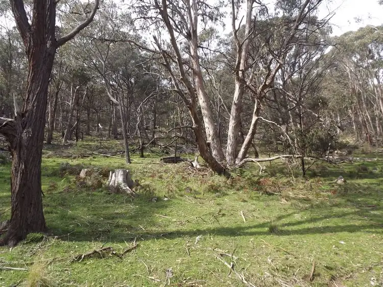 Sixth view of Homely land listing, 385 Ennis Road, Tallarook VIC 3659