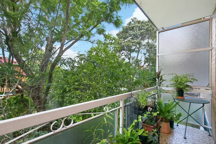 Fifth view of Homely unit listing, 3/248 Cavendish Road, Coorparoo QLD 4151