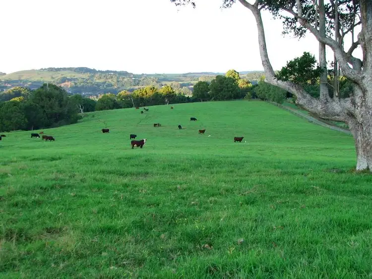 Fourth view of Homely rural property listing, Address available on request