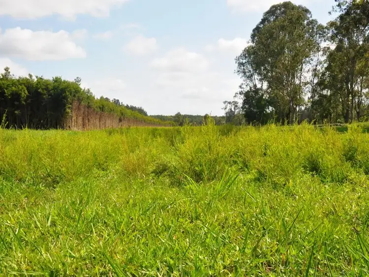 Third view of Homely rural property listing, 255 The Gap Road, Woodburn NSW 2472