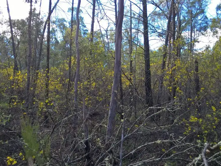 Sixth view of Homely land listing, Lot 3 Melrose Estate, Warialda NSW 2402