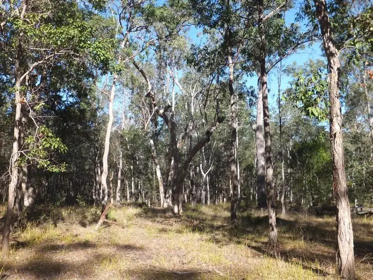 Sixth view of Homely rural property listing, 246 Orara Road, Lanitza NSW 2460