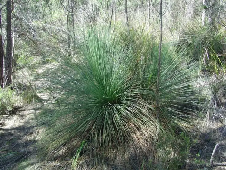 Seventh view of Homely land listing, 27 Rosedale Road, Bicheno TAS 7215