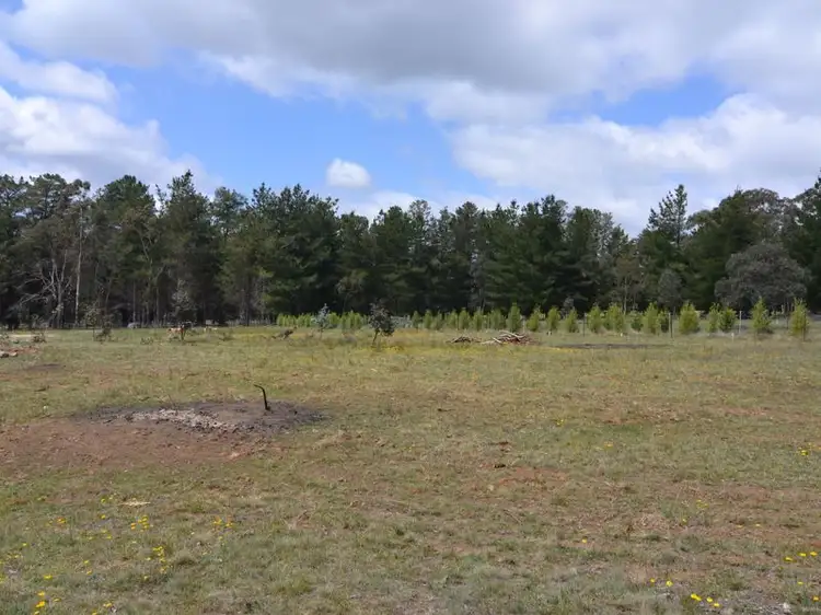 Fourth view of Homely rural property listing, Lot 202 Oakey Forest Road, Marrangaroo NSW 2790