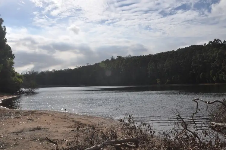 Sixth view of Homely land listing, Lot 143 Karri Lane, Quinninup WA 6258