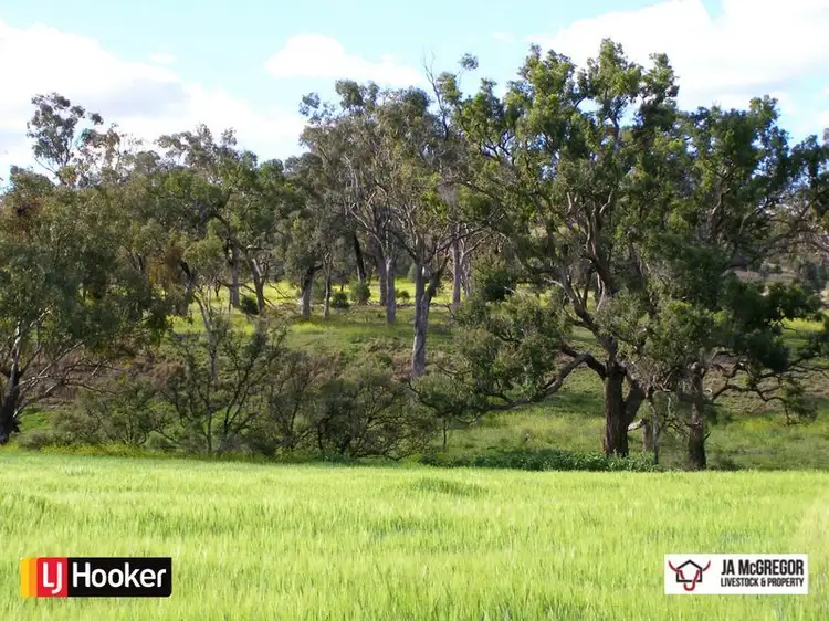 Sixth view of Homely rural property listing, Gragin Peak Road, Warialda NSW 2402