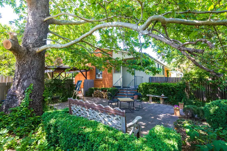 20 Burkitt Street, Page ACT 2614