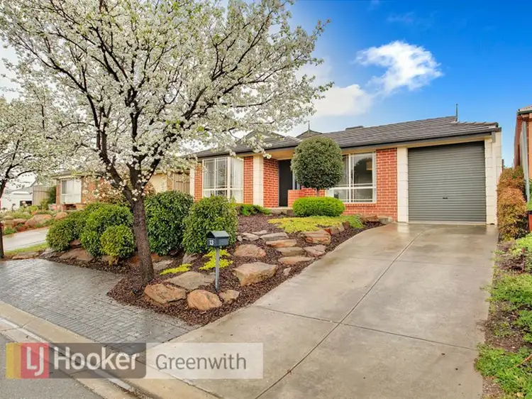 13 Bloomfield Avenue, Greenwith SA 5125