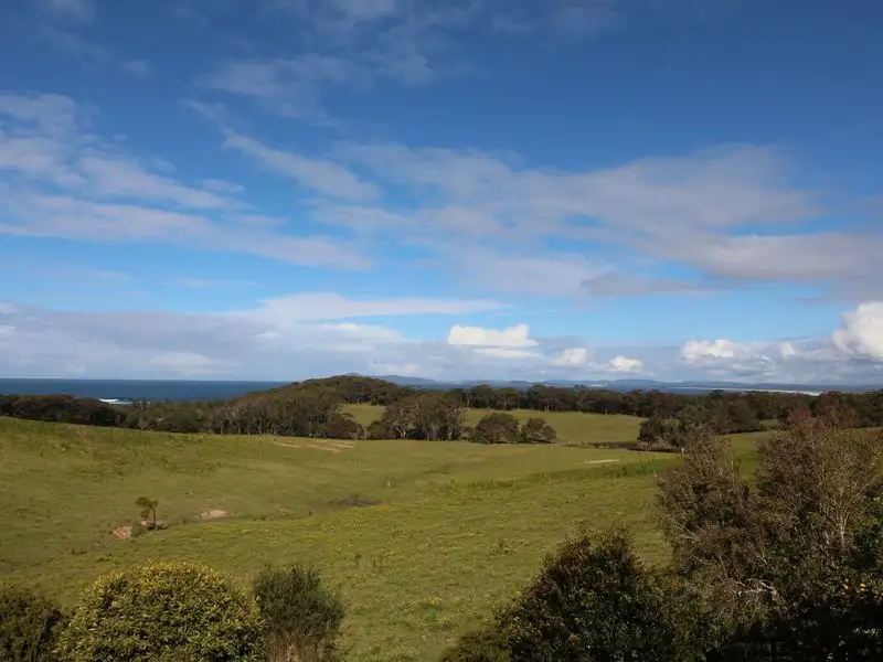 Main view of Homely house listing, 46 High Street, Hallidays Point NSW 2430