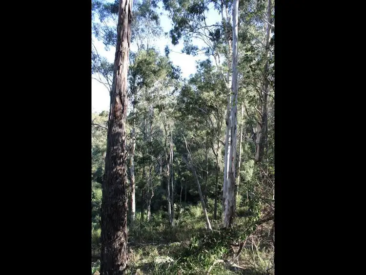 Seventh view of Homely land listing, 222 Hore Laceys Road, Quaama NSW 2550