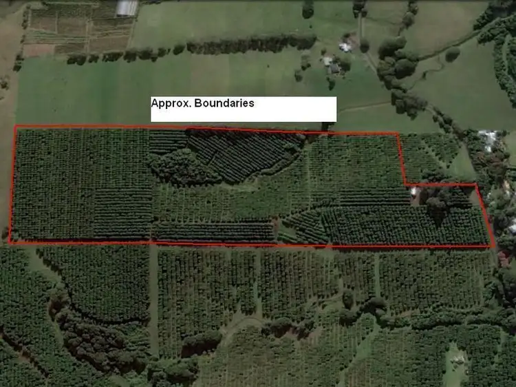 Sixth view of Homely rural property listing, 423 Friday Hut Road, Brooklet NSW 2479