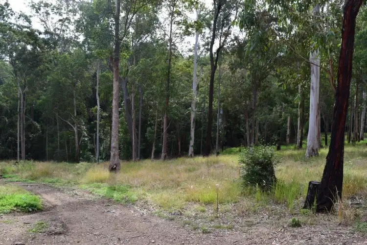 Fourth view of Homely rural property listing, 272 Black Mountain Road, Nymboida NSW 2460
