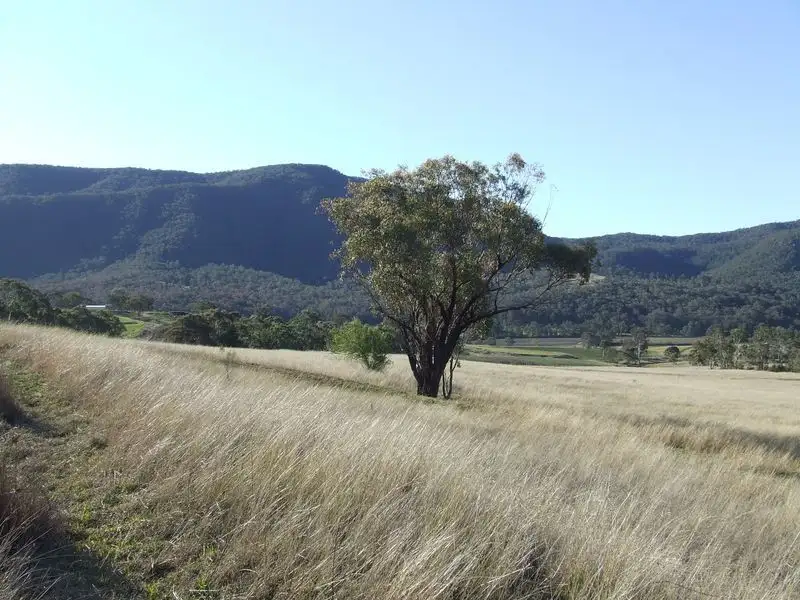 Main view of Homely rural property listing, Twin Pines Top Swanfels Road, Swanfels QLD 4371
