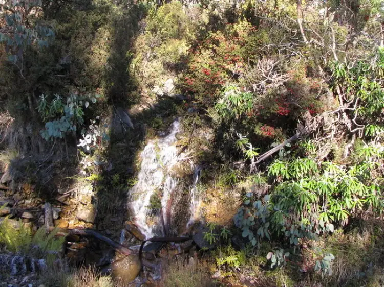 Seventh view of Homely rural property listing, Schulhofs Road, Blessington TAS 7212