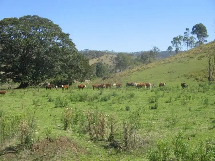 Seventh view of Homely land listing, 280 Delaney Creek road, Delaneys Creek QLD 4514
